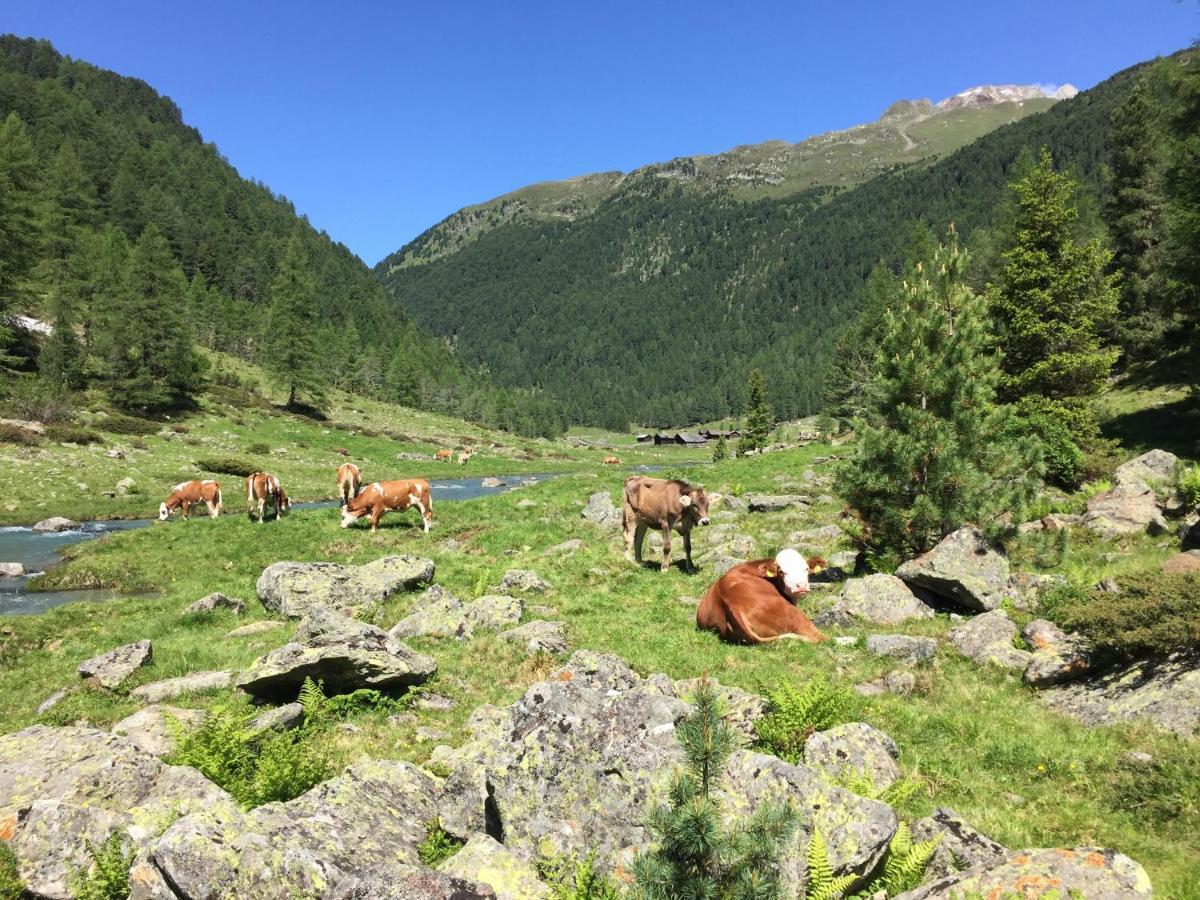 Ferienwohnungen Böhm St. Jakob in Defereggen Exterior foto